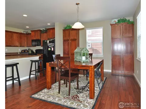 548 Edenbridge Dr, Windsor, CO 80550 photo 10