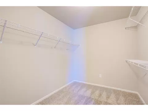 716 Cavern St, Severance, CO 80550 photo 18