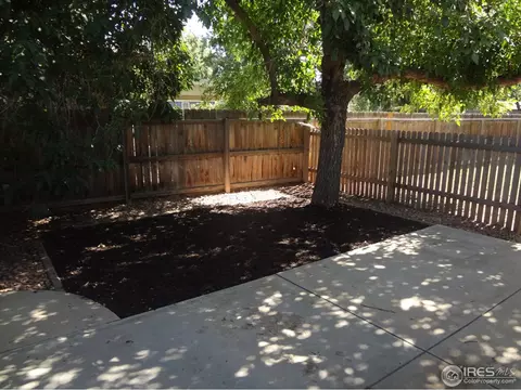 821 Oak St, Windsor, CO 80550 photo 23