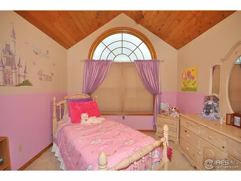 1106 Corona Dr, Severance, CO 80550 photo 19