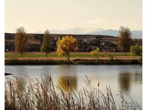 2027 Bayfront Ct, Windsor, CO 80550 photo 3