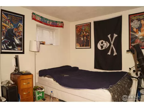 2910 Columbine St, Denver, CO 80205 photo 9