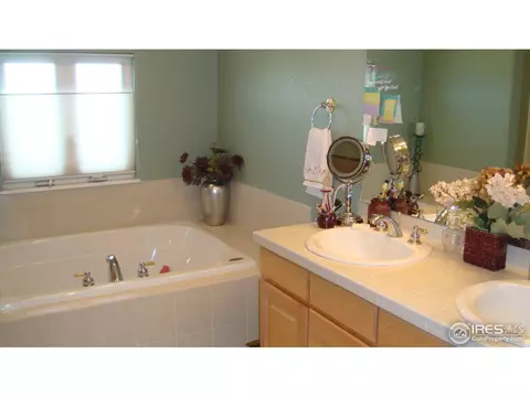 16458 Joppa St, Brighton, CO 80603 photo 20
