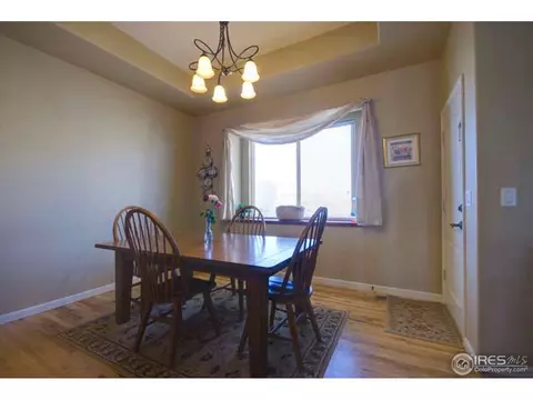 1972 Cataluna Dr, Windsor, CO 80550 photo 9