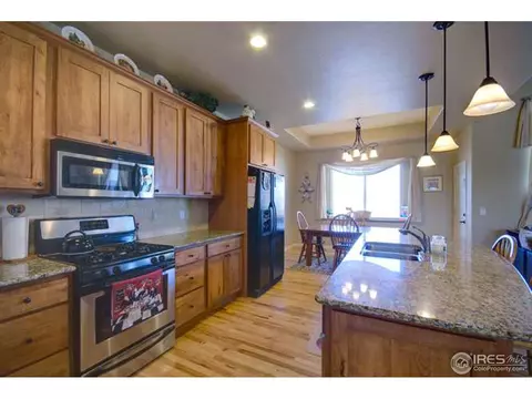 1972 Cataluna Dr, Windsor, CO 80550 photo 4