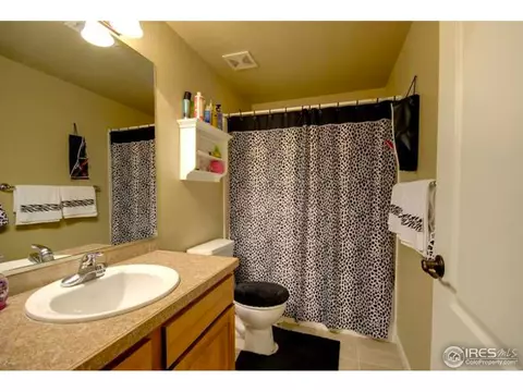 1972 Cataluna Dr, Windsor, CO 80550 photo 21