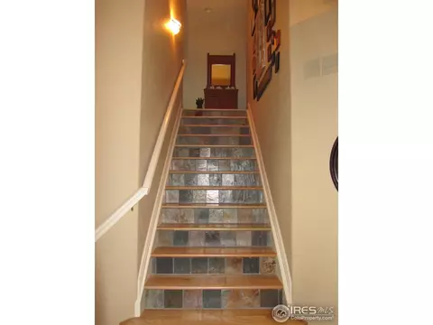 131 Whitney Ct, Windsor, CO 80550 photo 3