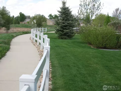 131 Whitney Ct, Windsor, CO 80550 photo 21