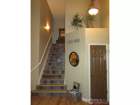 131 Whitney Ct, Windsor, CO 80550 photo 6