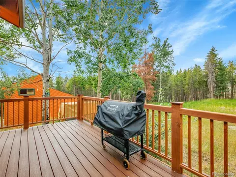8310 S Warhawk Rd, Conifer, CO 80433 photo 3