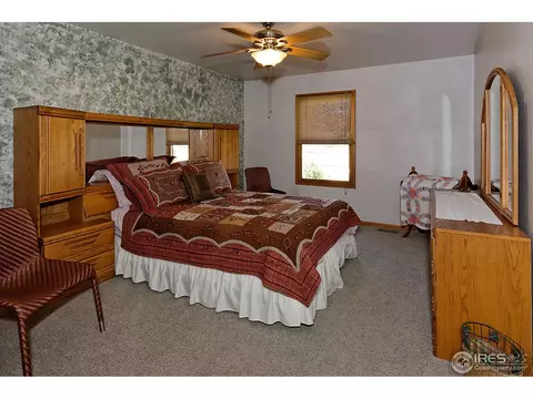 206 Valley Ct, Windsor, CO 80550 photo 6