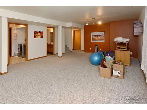 206 Valley Ct, Windsor, CO 80550 photo 7