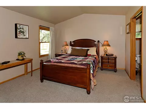206 Valley Ct, Windsor, CO 80550 photo 5