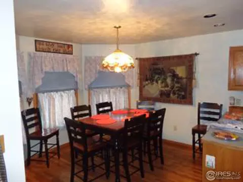 204 Valley Ct, Windsor, CO 80550 photo 11