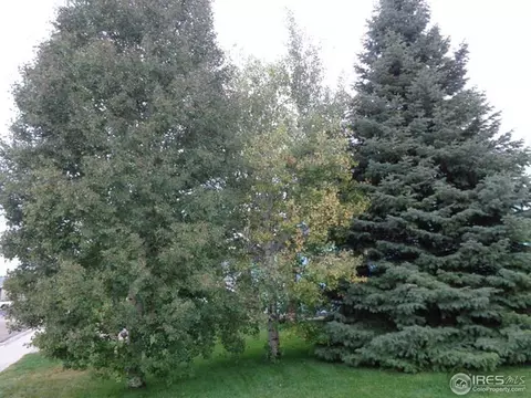 204 Valley Ct, Windsor, CO 80550 photo 21