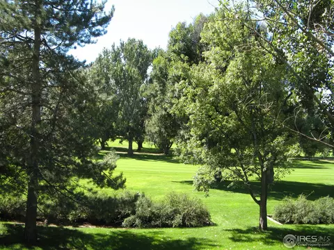 1101 48th Ave, Greeley, CO 80634 photo 4
