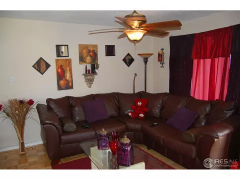 3920 Jackson St, Denver, CO 80205 photo 3