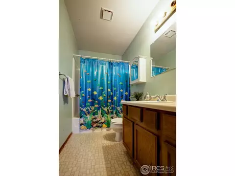 510 3rd St, Windsor, CO 80550 photo 12