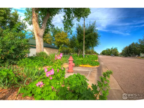 510 3rd St, Windsor, CO 80550 photo 15