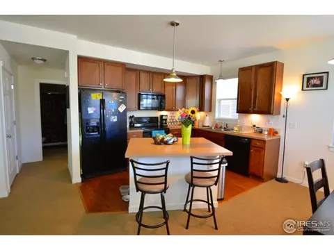 8282 E 24th Dr, Denver, CO 80238 photo 13