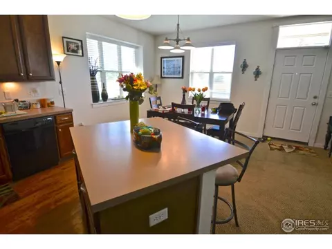 8282 E 24th Dr, Denver, CO 80238 photo 18