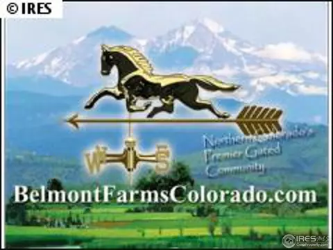 39461 Hilltop Cir, Severance, CO 80610 photo 5