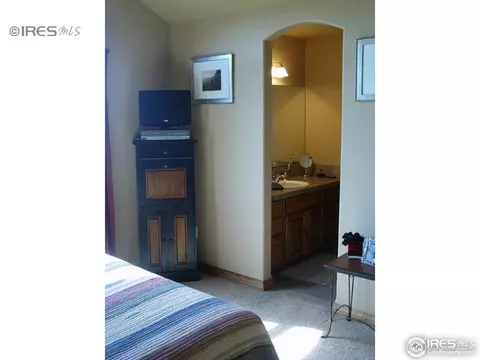 186 Kitty Hawk Ct, Windsor, CO 80550 photo 16