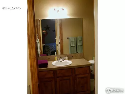 186 Kitty Hawk Ct, Windsor, CO 80550 photo 15