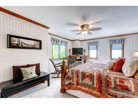 6735 Rodney St, Windsor, CO 80550 photo 13
