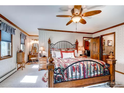 6735 Rodney St, Windsor, CO 80550 photo 12