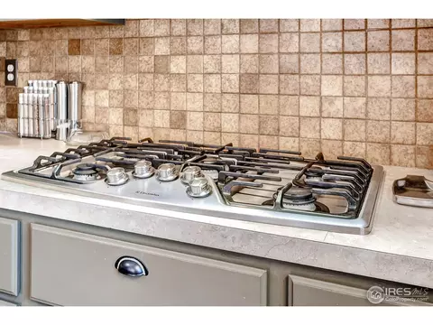 6735 Rodney St, Windsor, CO 80550 photo 11