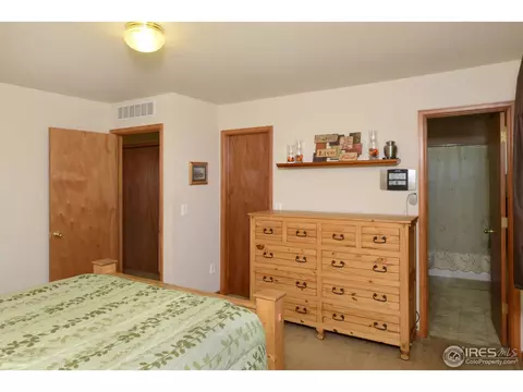 814 Scotch Pine Dr, Windsor, CO 80550 photo 10