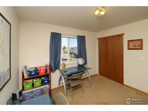 814 Scotch Pine Dr, Windsor, CO 80550 photo 18
