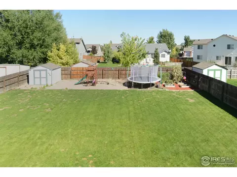 814 Scotch Pine Dr, Windsor, CO 80550 photo 20