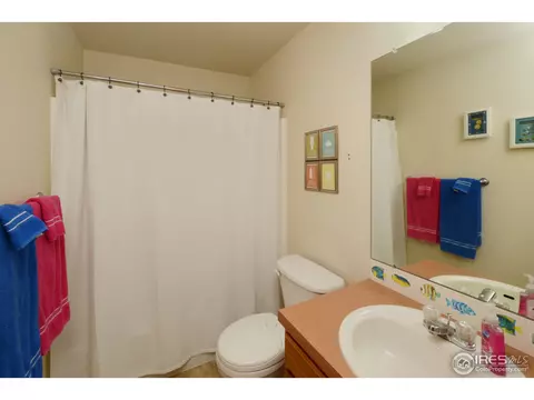 814 Scotch Pine Dr, Windsor, CO 80550 photo 13