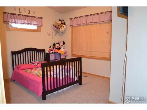 1412 Red Fox Cir, Severance, CO 80550 photo 10