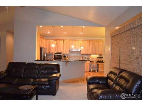 1412 Red Fox Cir, Severance, CO 80550 photo 3