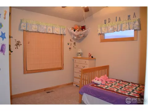 1412 Red Fox Cir, Severance, CO 80550 photo 11