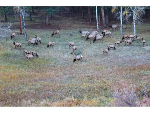 Other - 26115 Amy Cir, Conifer, CO 80433 photo 11 of 12