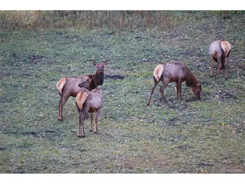 Other - 26115 Amy Cir, Conifer, CO 80433 photo 12 of 12