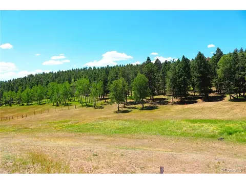 Other - 26115 Amy Cir, Conifer, CO 80433 photo 5 of 11