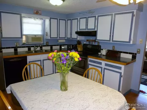 527 Welch Ave, Berthoud, CO 80513 photo 9