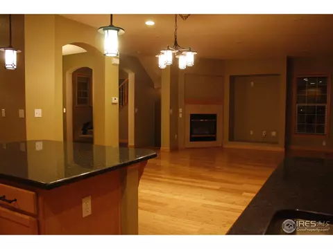 7994 E 28th Ave, Denver, CO 80238 photo 5