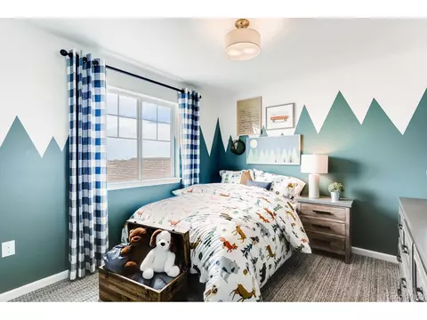6757 E 119th Pl, Thornton, CO 80233 photo 21