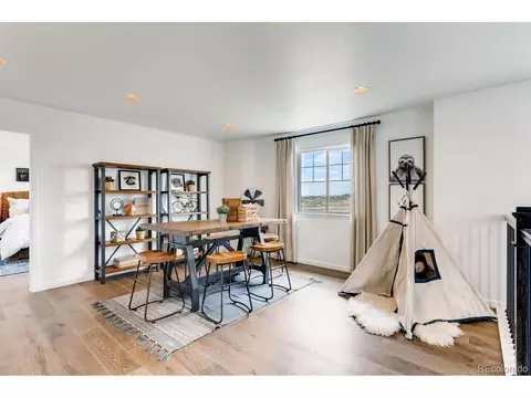 6757 E 119th Pl, Thornton, CO 80233 photo 23