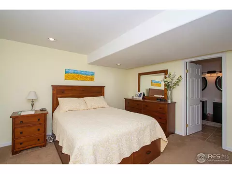 250 Opal Ct, Windsor, CO 80550 photo 16