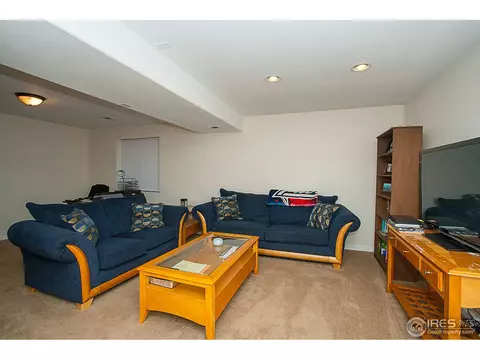 250 Opal Ct, Windsor, CO 80550 photo 15