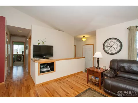 250 Opal Ct, Windsor, CO 80550 photo 10