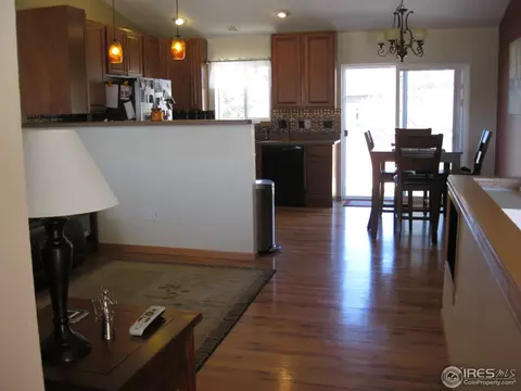 250 Opal Ct, Windsor, CO 80550 photo 3