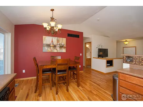 250 Opal Ct, Windsor, CO 80550 photo 9